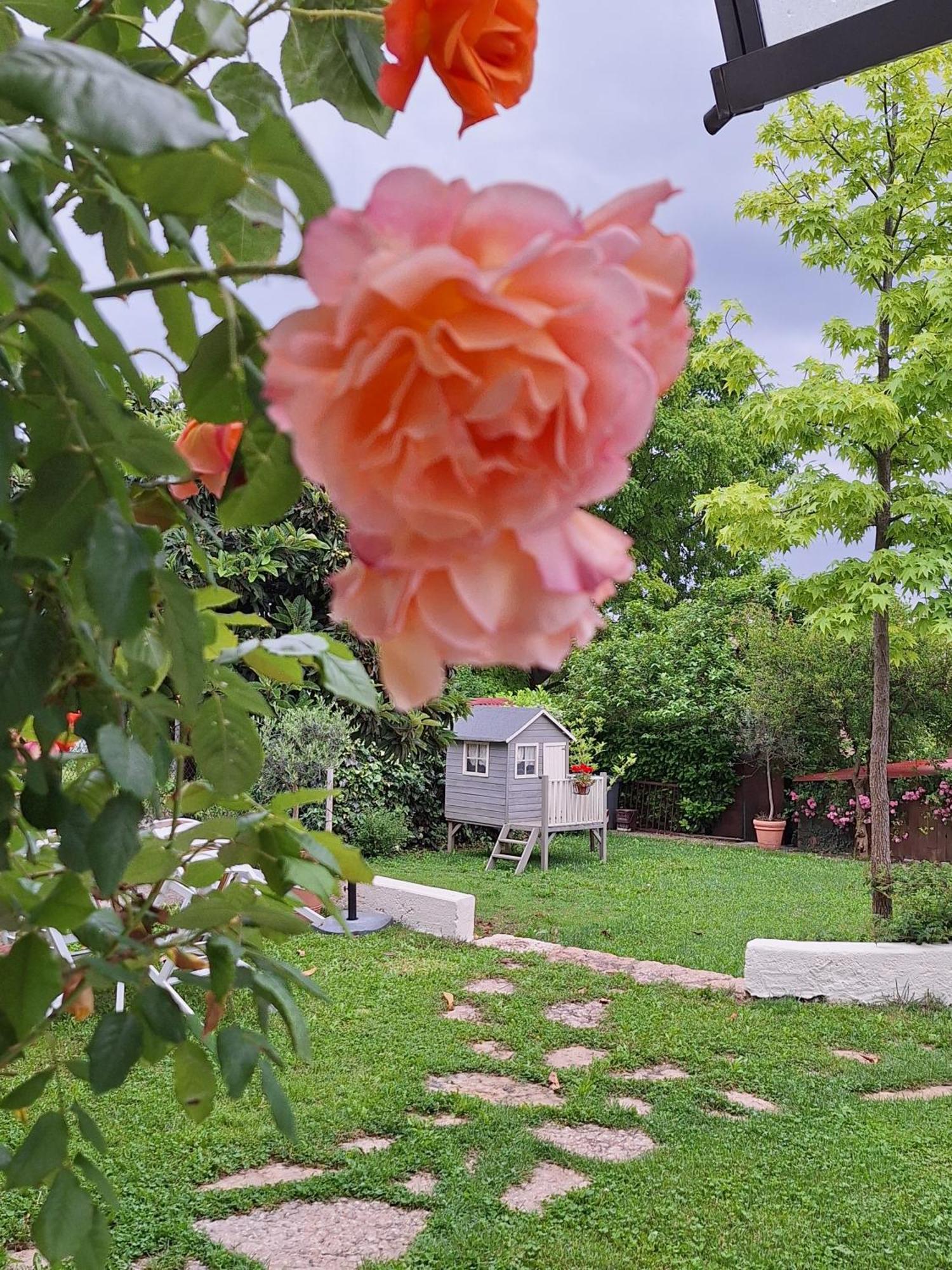Apartament Casa Paola Borso del Grappa Zewnętrze zdjęcie